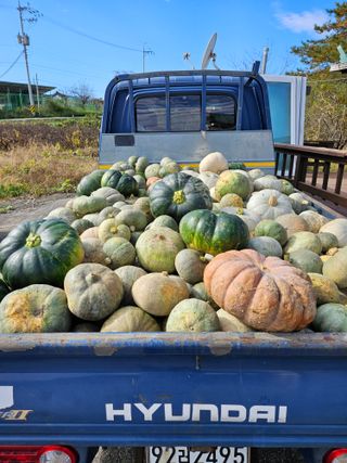 보람농장님의 농사경력 최고의 순간을 알려주세요. · 참여글 작성글 사진