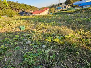 보람농장님의 농사경력 최고의 순간을 알려주세요. · 참여글 작성글 사진