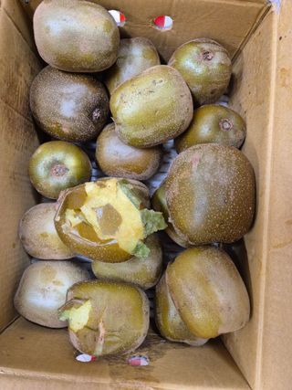 기중권님의 👀최근 산 것은? · 참여글 작성글 사진