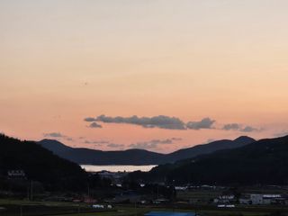 감15198님의 작성글 사진