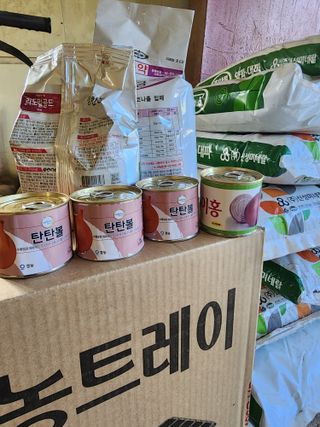 박정석님의 양파 · 영농일지 작성글 사진