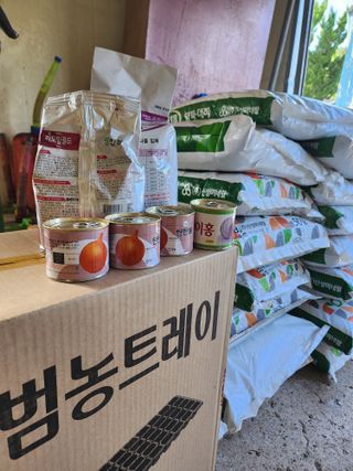 박정석님의 양파 · 영농일지 작성글 사진