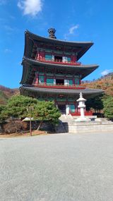 팜모닝 자유주제·자유게시판 게시글 이미지