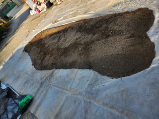 한상숙님의 들깨 · 영농일지 작성글 사진