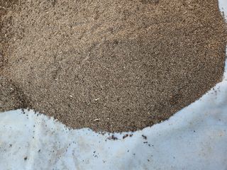 한상숙님의 들깨 · 영농일지 작성글 사진