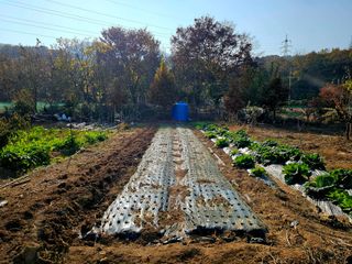 송담님의 자유주제 · 자유게시판 작성글 사진
