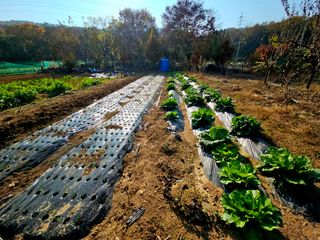 송담님의 자유주제 · 자유게시판 작성글 사진