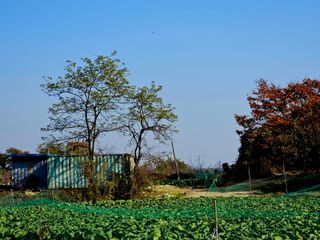 송담님의 자유주제 · 자유게시판 작성글 사진