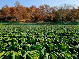 송담님의 자유주제 · 자유게시판 작성글 사진