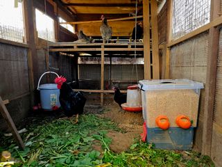 송담님의 자유주제 · 자유게시판 작성글 사진