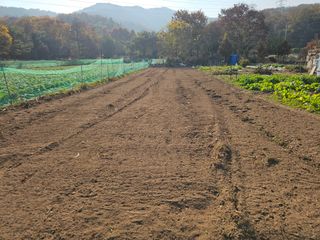송담님의 자유주제 · 자유게시판 작성글 사진