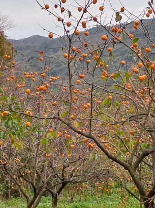 홍성호님의 자유주제 · 자유게시판 작성글 사진