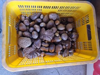 정석범님의 자유주제 · 자유게시판 작성글 사진