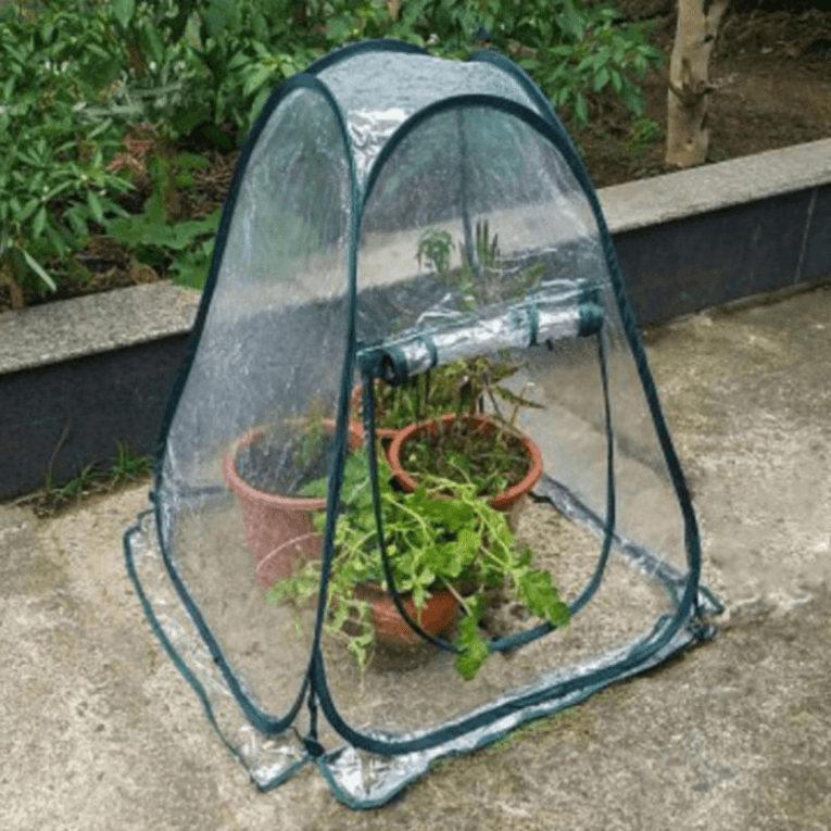 장터 상품 [미니 비닐 하우스 텃밭 동파방지] 썸네일