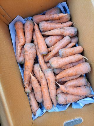 농부쑤니님의 작성글 사진