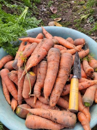 농부쑤니님의 작성글 사진