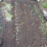 팜모닝 자유주제·자유게시판 게시글 이미지