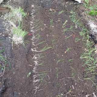 소농인님의 자유주제 · 자유게시판 작성글 사진