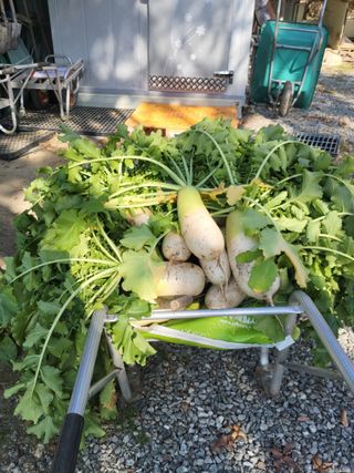 박홍석님의 자유주제 · 자유게시판 작성글 사진