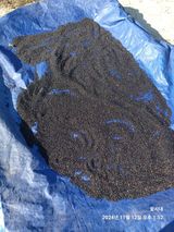 팜모닝 기타작물·영농일지 게시글 이미지