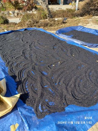 텃밭님의 기타작물 · 영농일지 작성글 사진