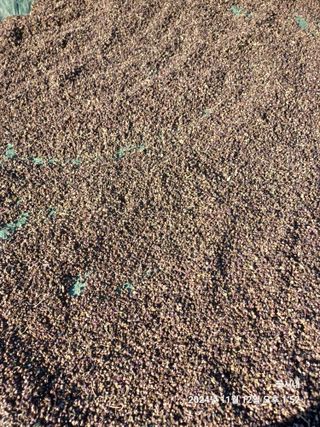 텃밭님의 기타작물 · 영농일지 작성글 사진