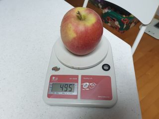 이홍규님의 자유주제 · 자유게시판 작성글 사진