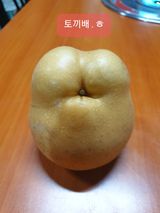 팜모닝 농사를 망친 작은 실수들·참여글 게시글 이미지