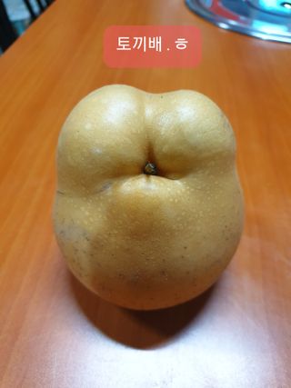 퍼피과수원님의 농사를 망친 작은 실수들 · 참여글 작성글 사진