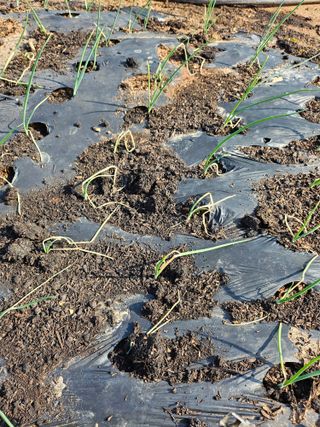 조순범님의 자유주제 · 자유게시판 작성글 사진