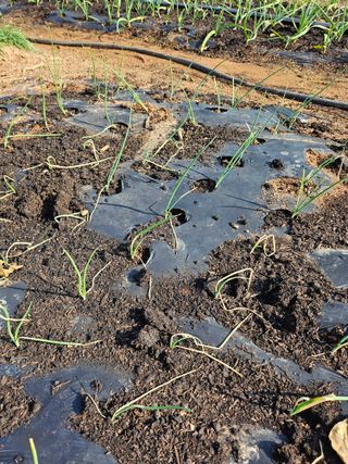 조순범님의 자유주제 · 자유게시판 작성글 사진