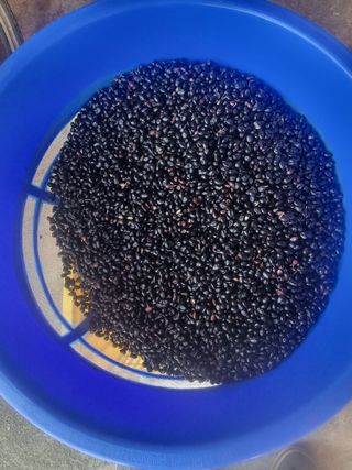 정석범님의 작성글 사진