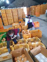 팜모닝 농사를 망친 작은 실수들·참여글 게시글 이미지