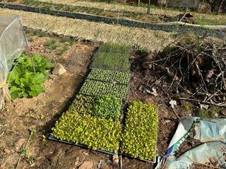 체리123님의 자유주제 · 자유게시판 작성글 사진