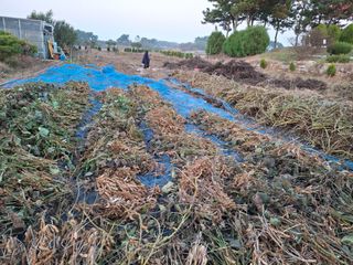 체리123님의 자유주제 · 자유게시판 작성글 사진