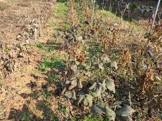 체리123님의 자유주제 · 자유게시판 작성글 사진