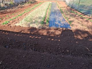 체리123님의 자유주제 · 자유게시판 작성글 사진