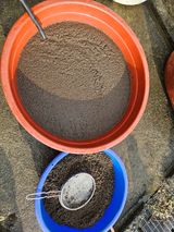 팜모닝 자유주제·자유게시판 게시글 이미지