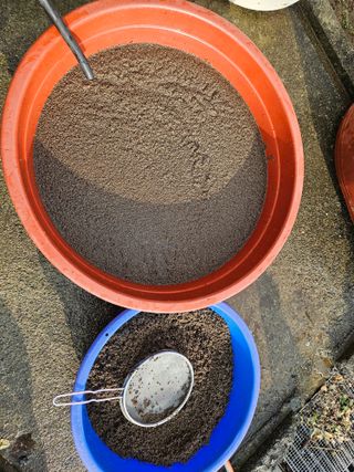 채경희님의 자유주제 · 자유게시판 작성글 사진