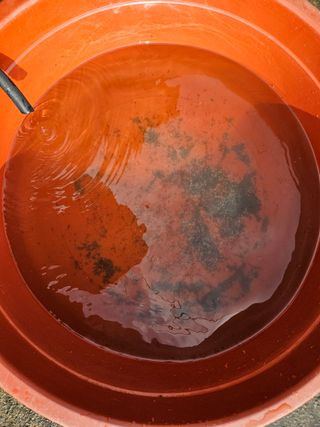 채경희님의 자유주제 · 자유게시판 작성글 사진