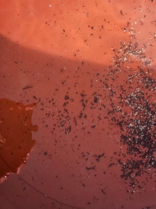 채경희님의 자유주제 · 자유게시판 작성글 사진