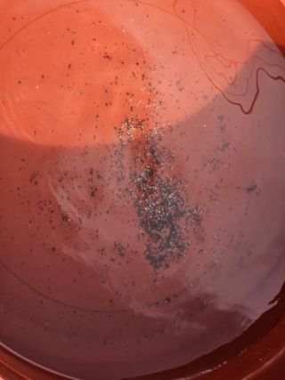 채경희님의 자유주제 · 자유게시판 작성글 사진