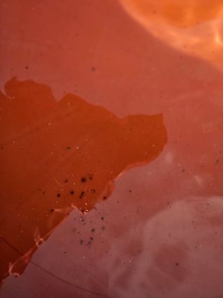 채경희님의 자유주제 · 자유게시판 작성글 사진