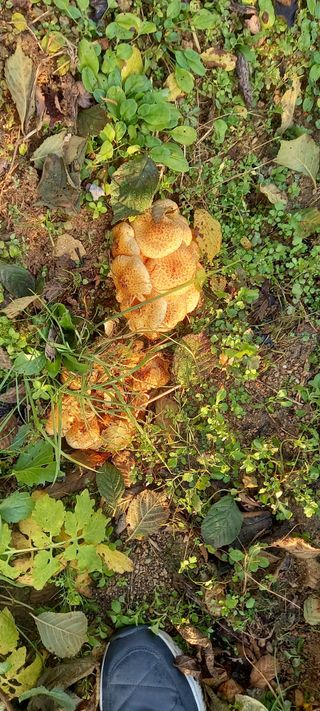 omany님의 자유주제 · 자유게시판 작성글 사진