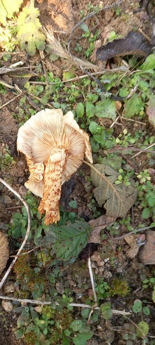 omany님의 자유주제 · 자유게시판 작성글 사진