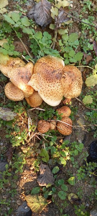 omany님의 자유주제 · 자유게시판 작성글 사진