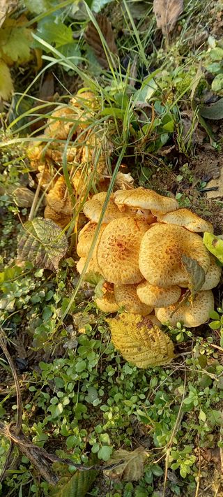 omany님의 자유주제 · 자유게시판 작성글 사진