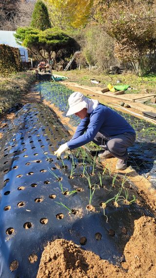 경기고양휘파람농장님의 자유주제 · 자유게시판 작성글 사진