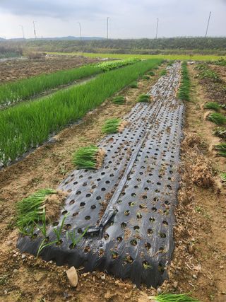 갑돌이님의 자유주제 · 자유게시판 작성글 사진