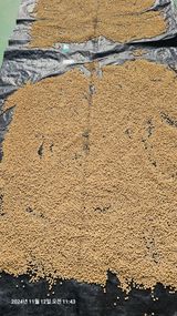 팜모닝 콩·영농일지 게시글 이미지